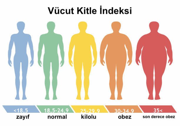 Vücut Kitle İndeksi