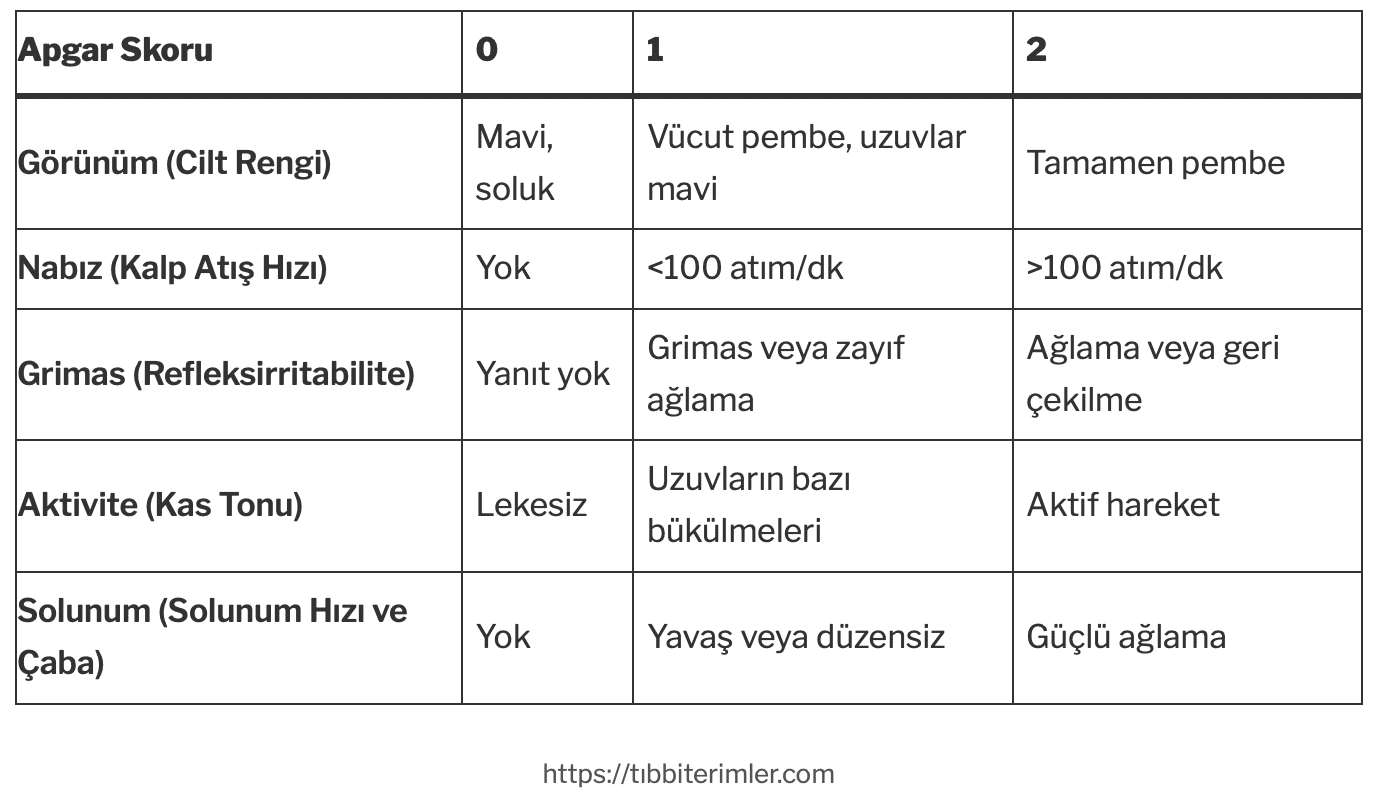 Apgar Skoru Hesaplayıcı